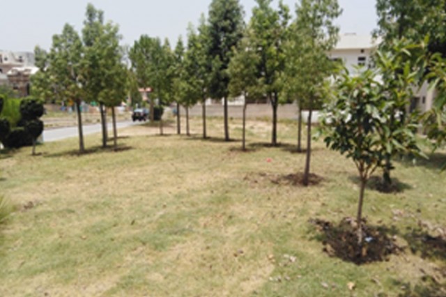Landscaping Raw Spaces DHA Phase-II